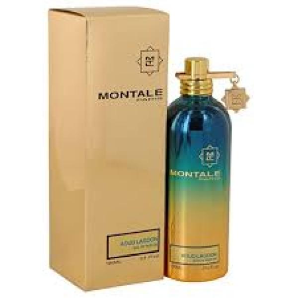 Montale-Paris-Aoud-Lagoon-Edp-100-Ml