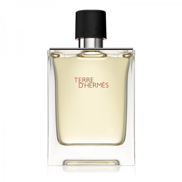 Hermes-Terre-DHermes-M-Edt-100-Ml